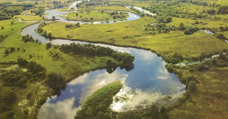 Річка Сейм знову несе забруднення у напрямку України.