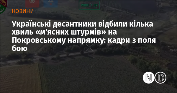 Українські десантники успішно відбили кілька хвиль інтенсивних атак на Покровському напрямку: відео з місця подій.