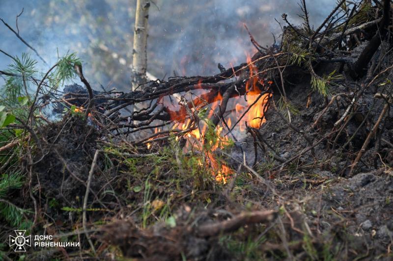 Вогонь на Поліссі вдалося приборкати лише на четверту добу (ФОТО). Рівне та область - Новини Рівного Вечірнього.