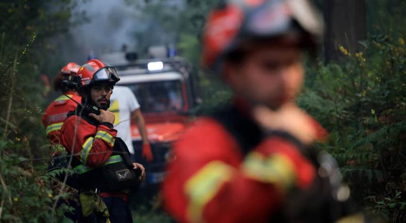 У Португалії лісові пожежі вже забрали життя семи осіб, серед яких троє - рятувальники.